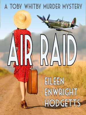 cover image of Air Raid